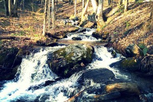 Waters of The United States
