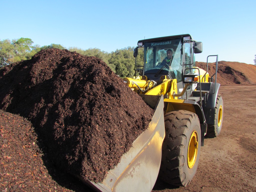 Citrus In Compost at John McCauley blog