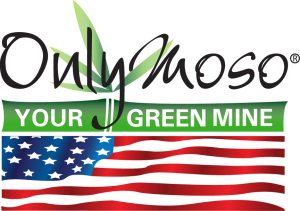 only-moso-flag-bottom