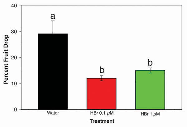 Brassinosteroids