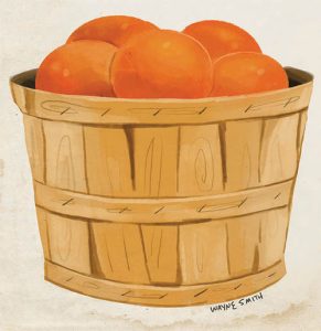 bushel baskets