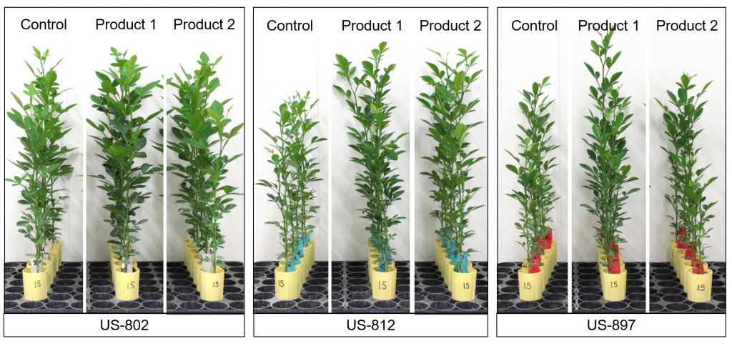 The Chemical Biology of Plant Biostimulants | Wiley