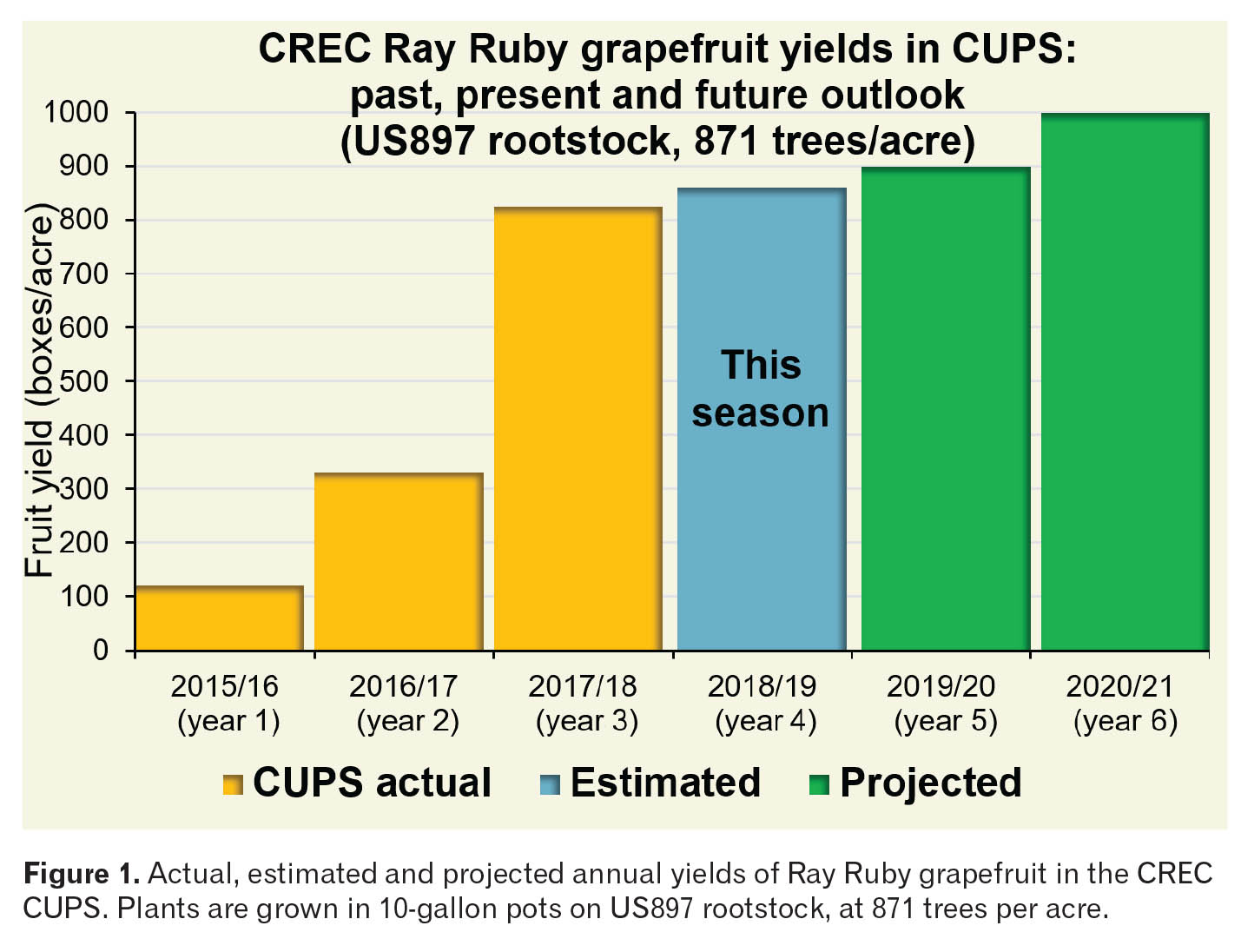 Research Update Citrus Under Protective Screen Citrus Industry Magazine