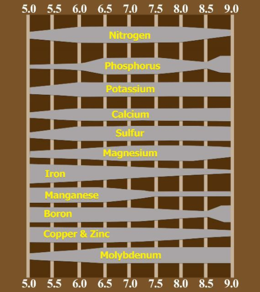 Keeping Soil pH at the Optimal Level Highlands County Citrus Growers