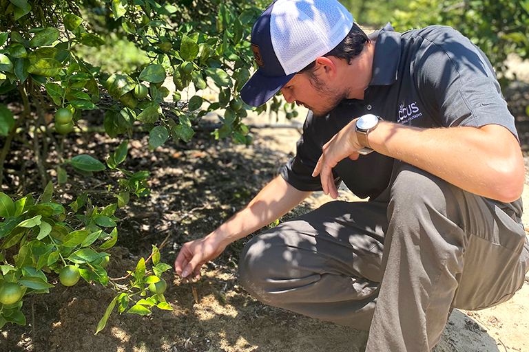 Unlock Soil Nutrients to Benefit Your Citrus Grove - Citrus Industry ...